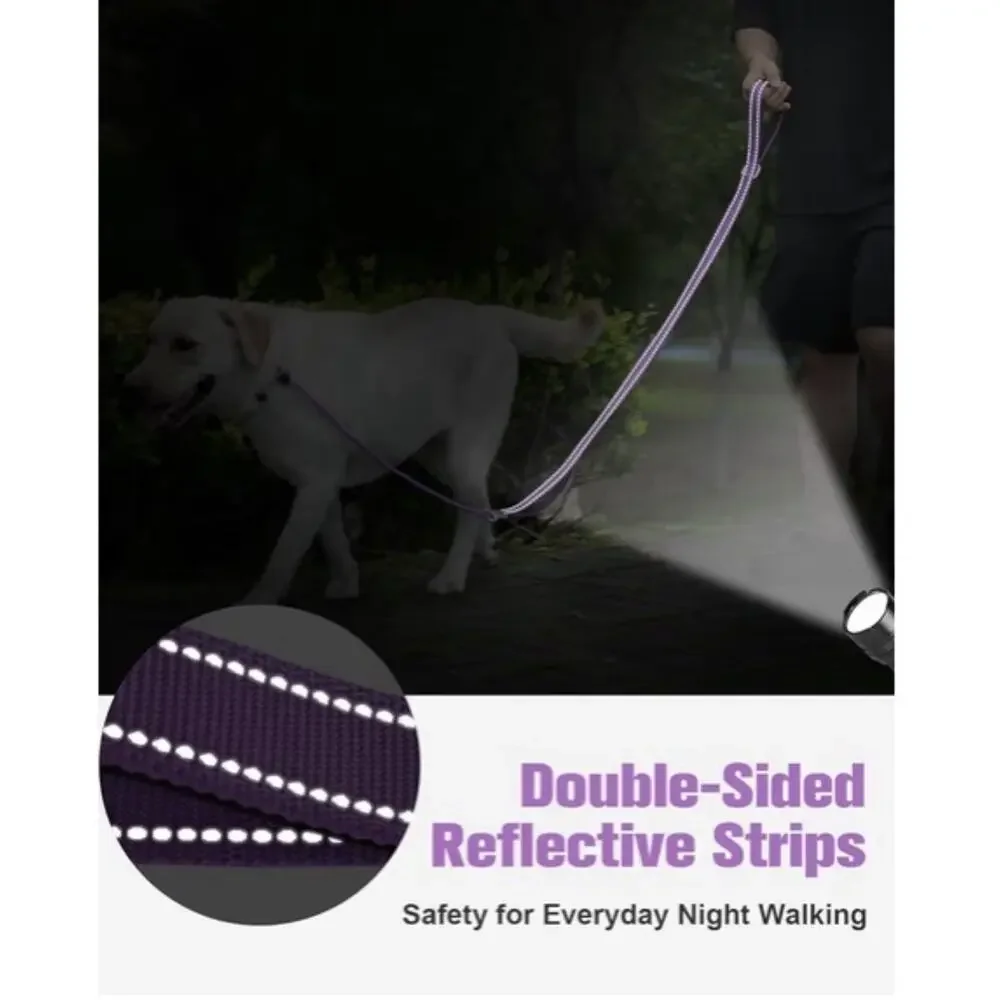 Aiyuda Tangle-Free Slip Lead 6ft Double Handle Leash for Dogs Under 40 Lbs Purpl